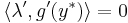 \langle \lambda', g'(y^*) \rangle = 0