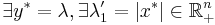 \exists y^* = \lambda, \exists \lambda'_1 = |x^*| \in \mathbb{R}^n_+