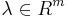 \lambda \in R^{m}