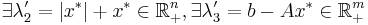 \exists \lambda'_2 = |x^*| + x^* \in \mathbb{R}^n_+, \exists \lambda'_3 = b - A x^* \in \mathbb{R}^m_+ 
